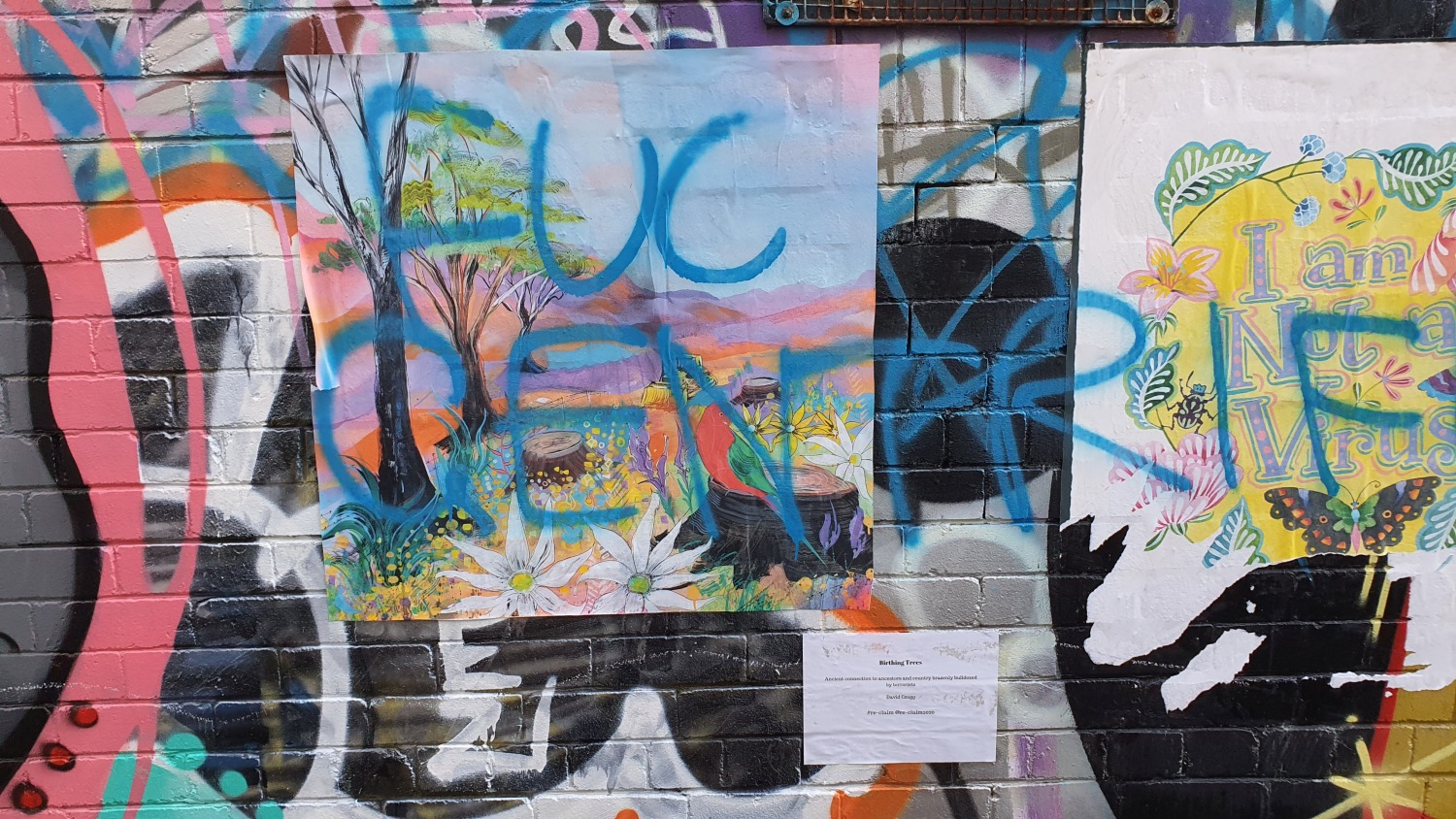 Cope Street (West) Newtown Street Art Sydney Art Out Live (10)