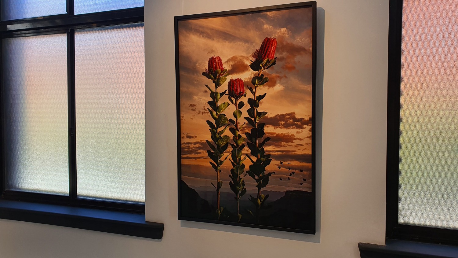 Curatorial and Co Redfern Gallery Sydney Art Out Live (5)