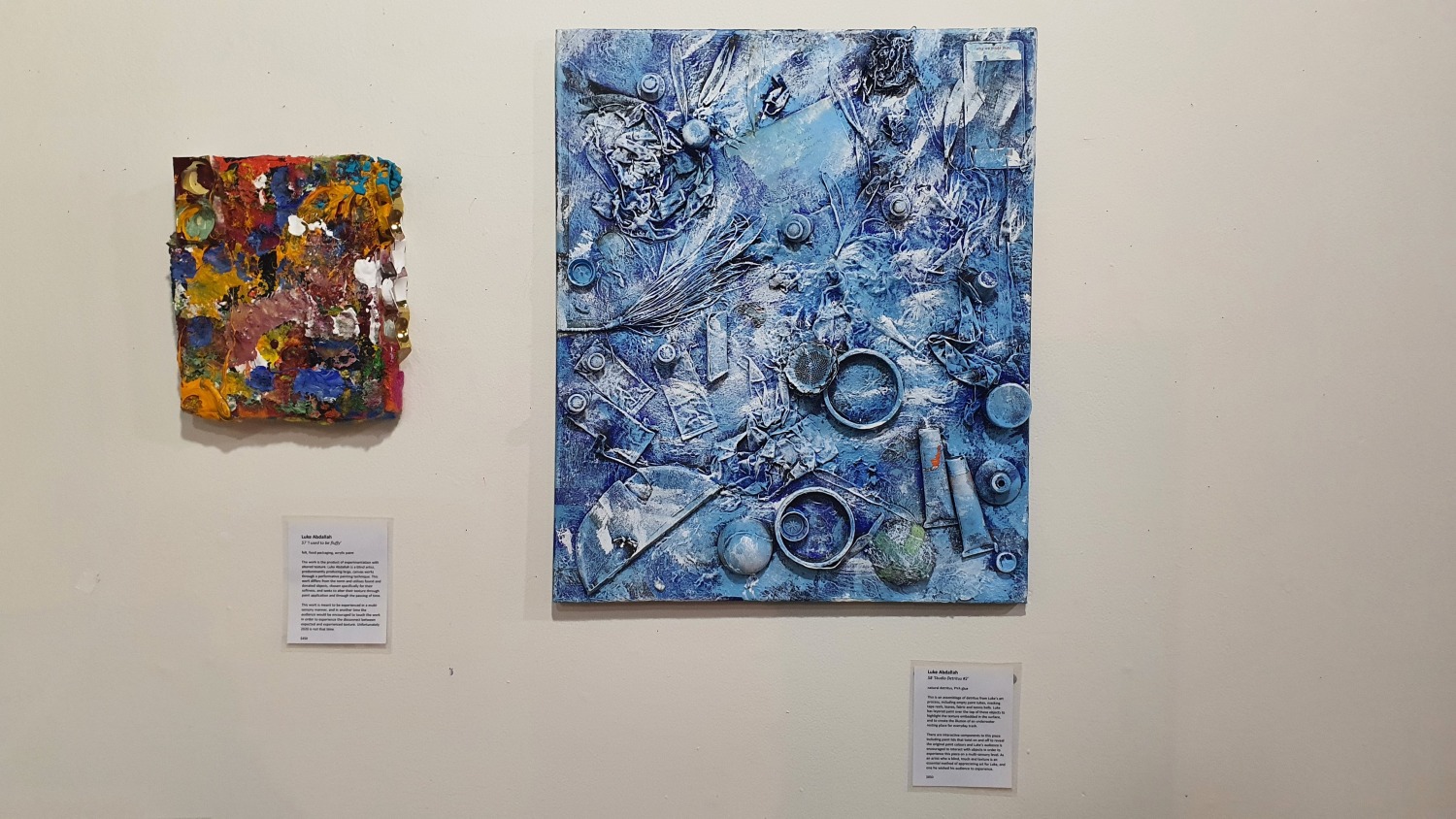 107 Projects Redfern Gallery Sydney Art Out Live (3)