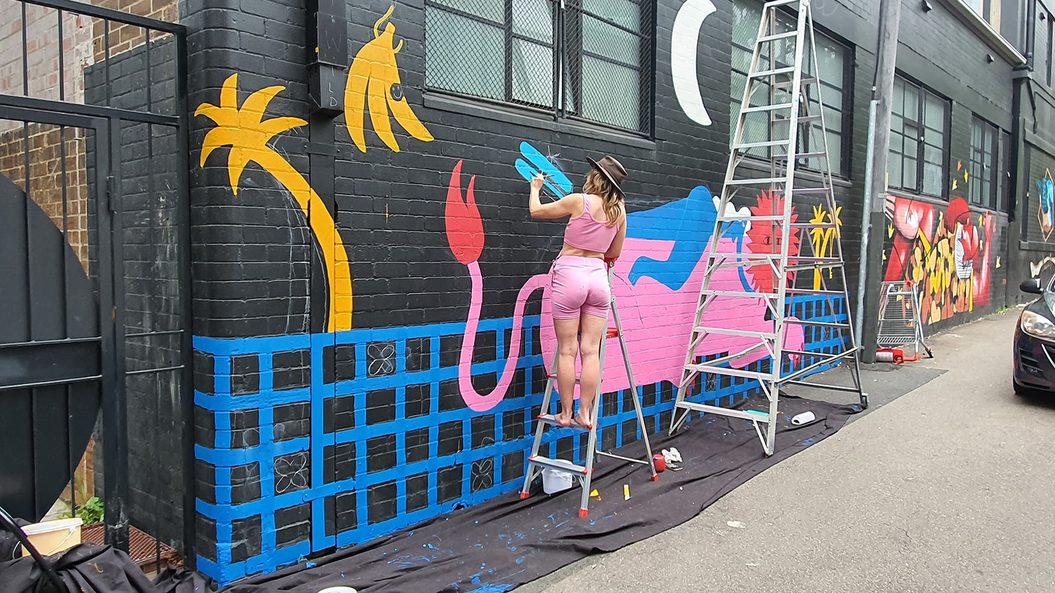 Hudson Street Redfern Street Art Sydney Art Out Live Aley Wild Mural 9