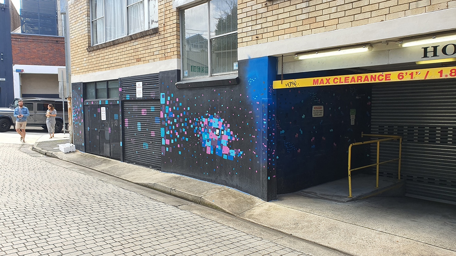 Iona Lane Paddington Street Art Sydney Art Out Live (1)