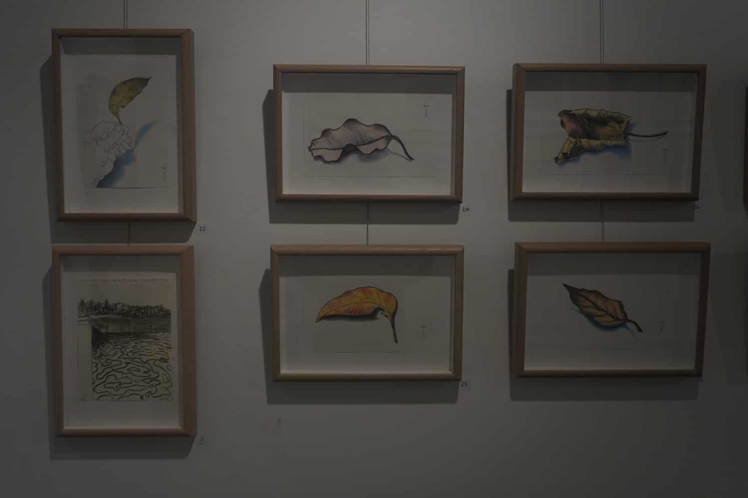 Shapiro Annex Gallery Chippendale Galleries Sydney Art Out Live 4