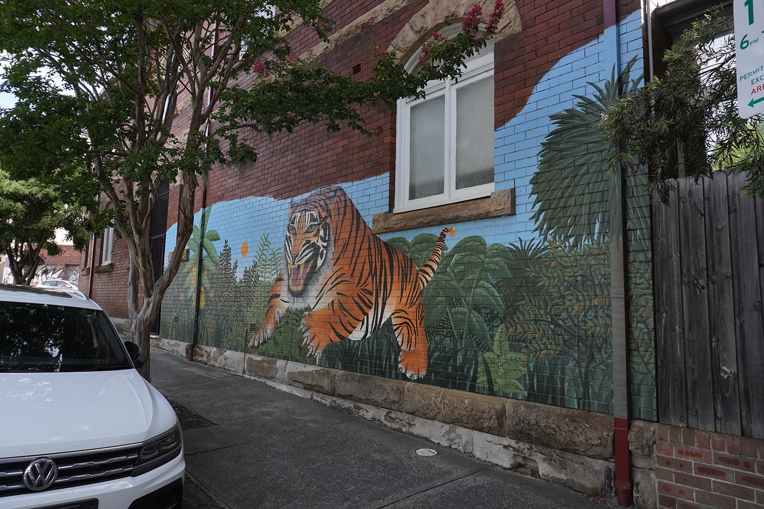 Cambridge Street Enmore Street Art Sydney Art Out Live Ellie Pitt
