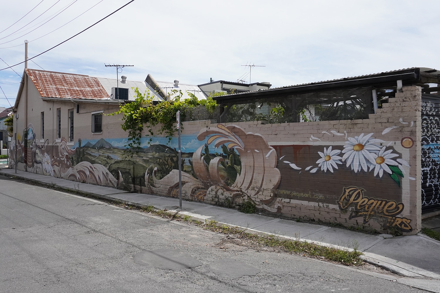 Edgeware Road Enmore Street Art Sydney Art Out Live Peque (1)