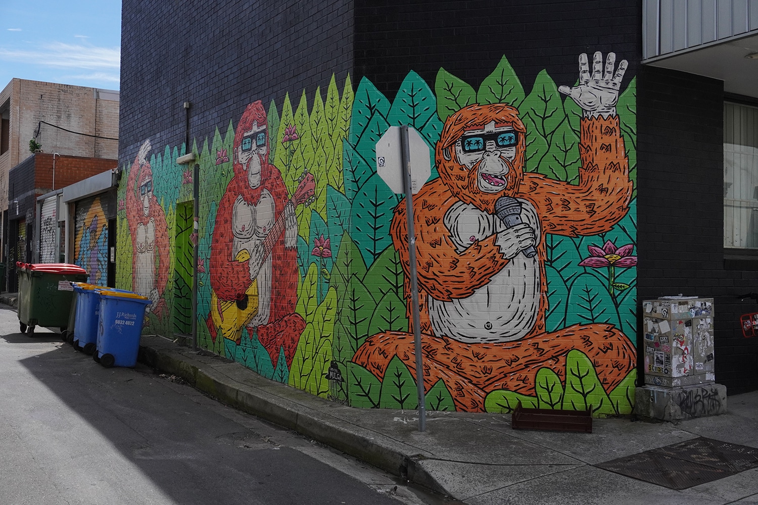Enmore Lane Enmore Street Art Sydney Art Out Live Mulga the Artist