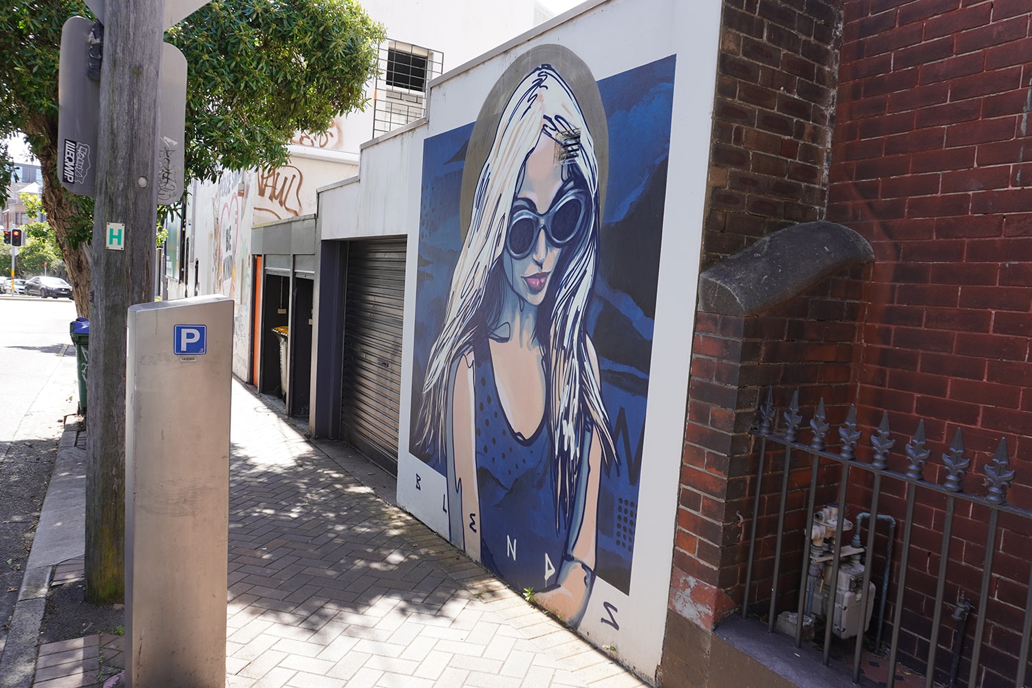 Meagher Street Chippendale Street Art Sydney Art Out Live January 2021 Blends