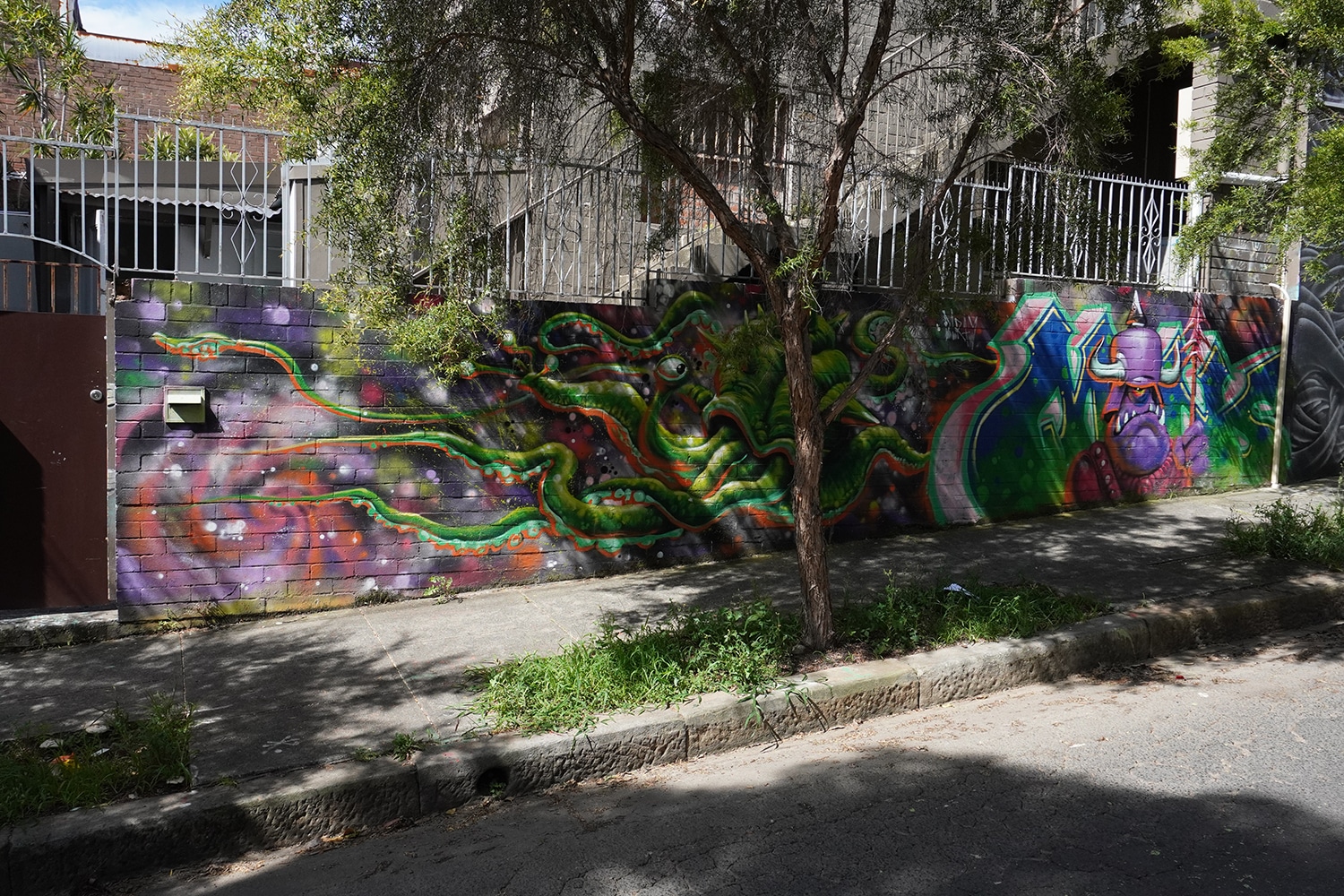 Newington Road Enmore Street Art Sydney Art Out Live (1)
