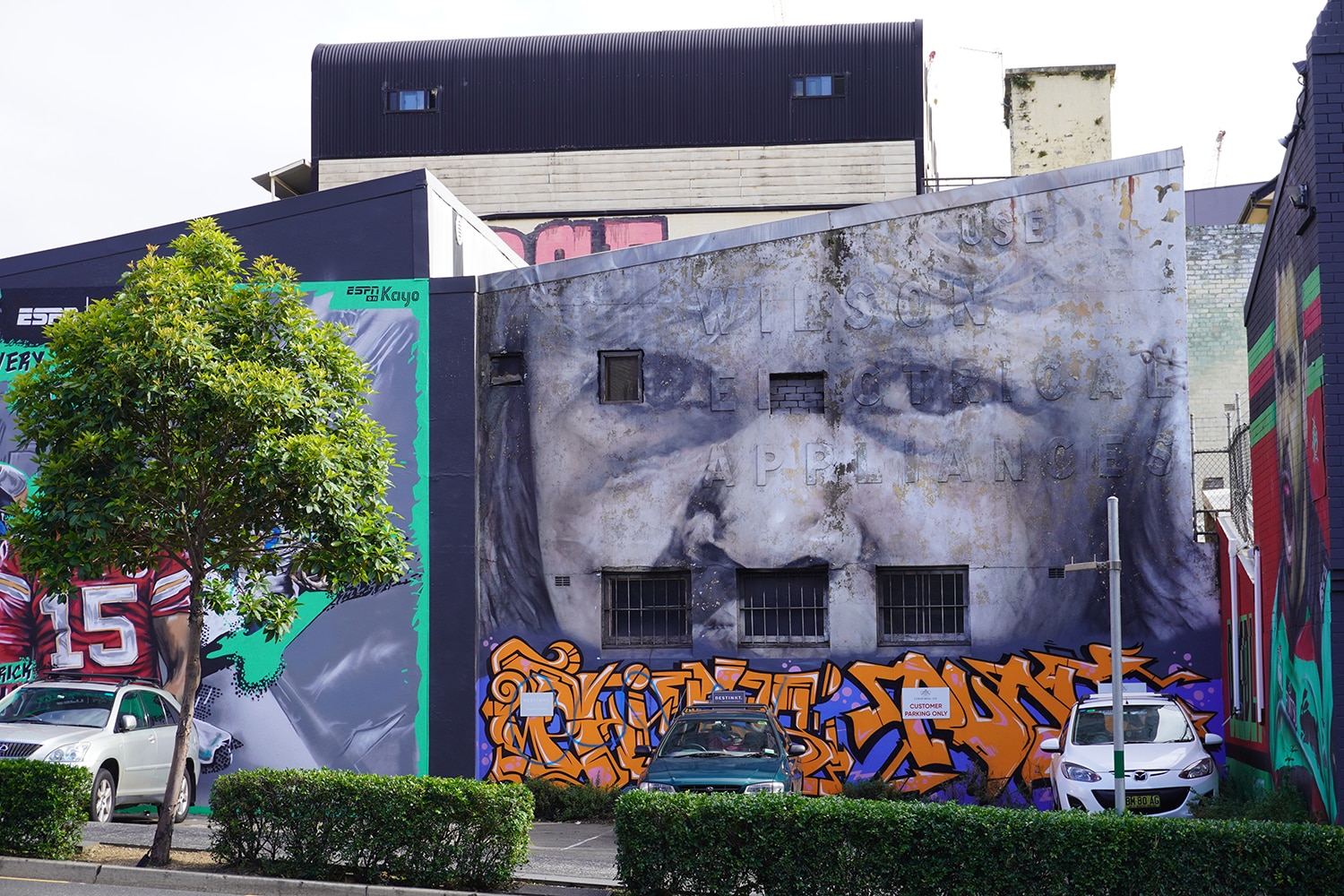 Woodburn Street Redfern Street Art Sydney Art Out Live February 2021 (2) Guido Van Helten